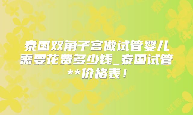 泰国双角子宫做试管婴儿需要花费多少钱_泰国试管**价格表！