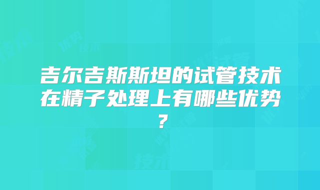 吉尔吉斯斯坦的试管技术在精子处理上有哪些优势？