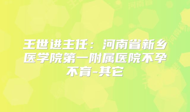 王世进主任：河南省新乡医学院第一附属医院不孕不育-其它