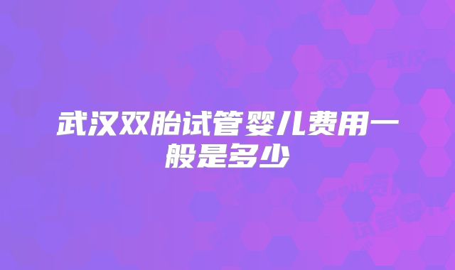 武汉双胎试管婴儿费用一般是多少