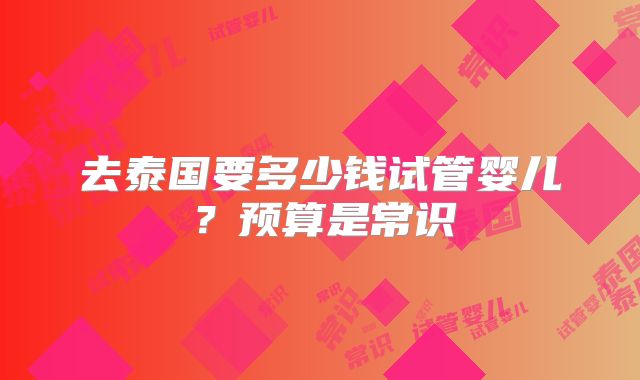 去泰国要多少钱试管婴儿？预算是常识
