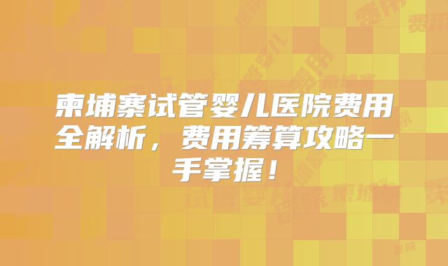 柬埔寨试管婴儿医院费用全解析，费用筹算攻略一手掌握！