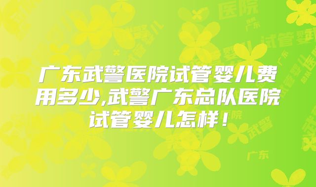 广东武警医院试管婴儿费用多少,武警广东总队医院试管婴儿怎样！