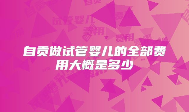 自贡做试管婴儿的全部费用大概是多少