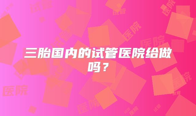 三胎国内的试管医院给做吗?