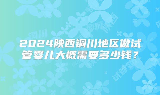 2024陕西铜川地区做试管婴儿大概需要多少钱？