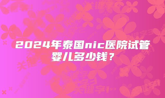 2024年泰国nic医院试管婴儿多少钱？