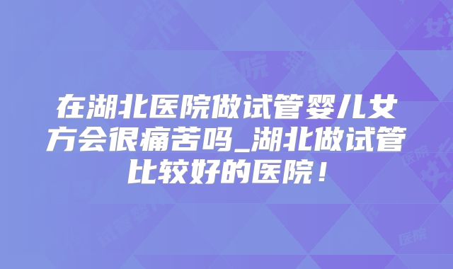 在湖北医院做试管婴儿女方会很痛苦吗_湖北做试管比较好的医院！