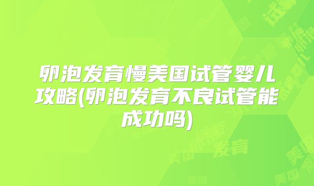 卵泡发育慢美国试管婴儿攻略(卵泡发育不良试管能成功吗)