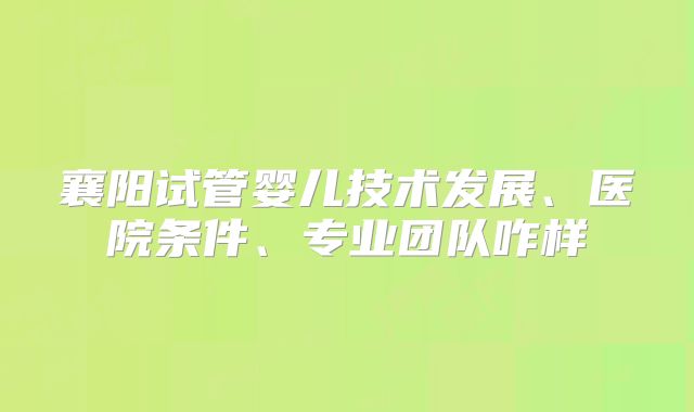 襄阳试管婴儿技术发展、医院条件、专业团队咋样