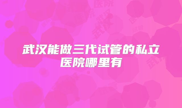 武汉能做三代试管的私立医院哪里有