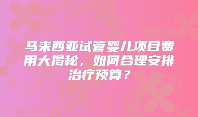 马来西亚试管婴儿项目费用大揭秘,如何合理安排治疗预算?
