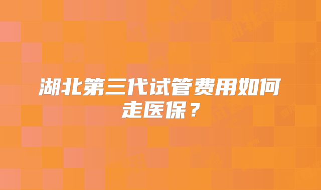 湖北第三代试管费用如何走医保？