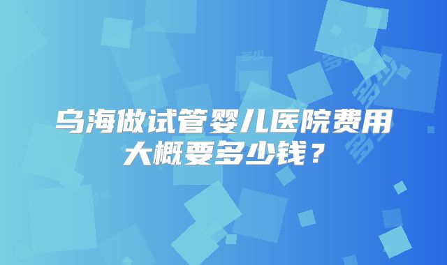 乌海做试管婴儿医院费用大概要多少钱？