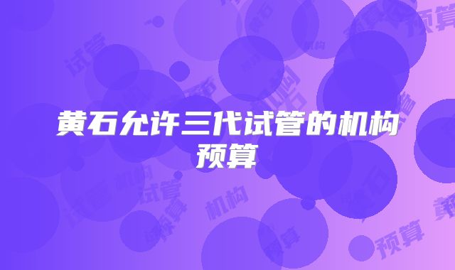 黄石允许三代试管的机构预算