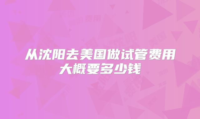 从沈阳去美国做试管费用大概要多少钱