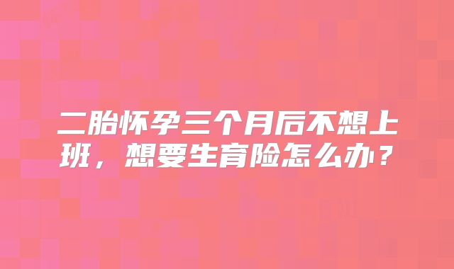 二胎怀孕三个月后不想上班，想要生育险怎么办？