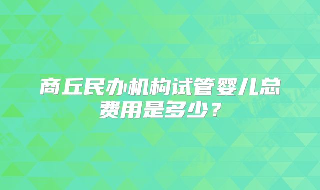 商丘民办机构试管婴儿总费用是多少？
