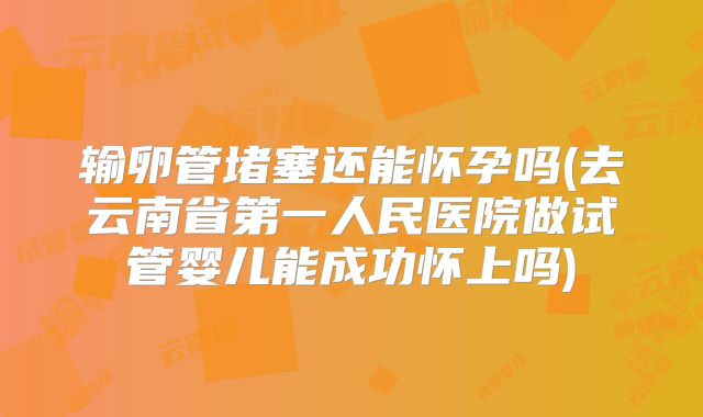 输卵管堵塞还能怀孕吗(去云南省第一人民医院做试管婴儿能成功怀上吗)