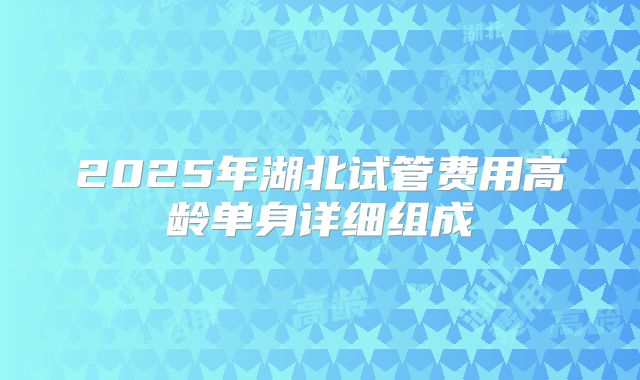 2025年湖北试管费用高龄单身详细组成