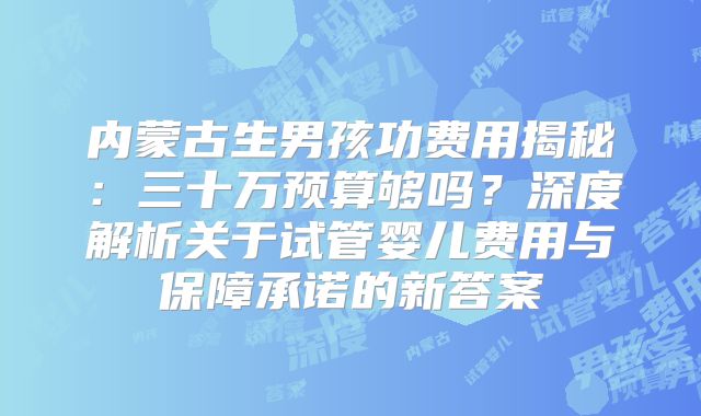 内蒙古生男孩功费用揭秘：三十万预算够吗？深度解析关于试管婴儿费用与保障承诺的新答案