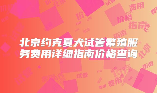 北京约克夏犬试管繁殖服务费用详细指南价格查询