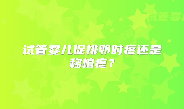 试管婴儿促排卵时疼还是移植疼？