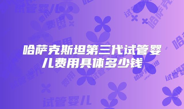 哈萨克斯坦第三代试管婴儿费用具体多少钱