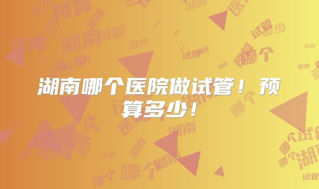 湖南哪个医院做试管!预算多少!