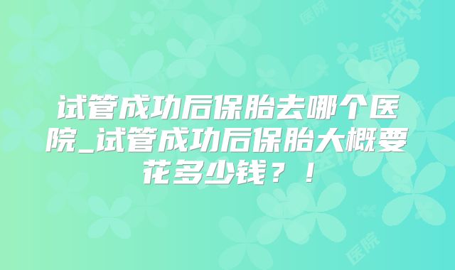 试管成功后保胎去哪个医院_试管成功后保胎大概要花多少钱？！