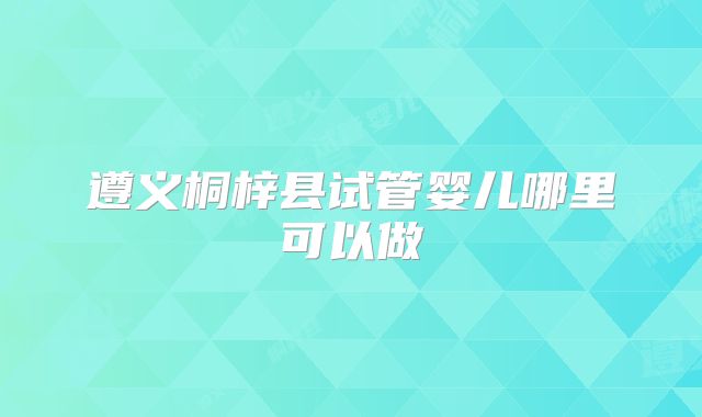 遵义桐梓县试管婴儿哪里可以做
