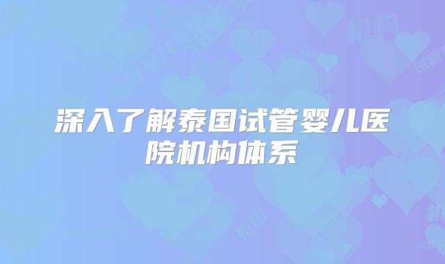 深入了解泰国试管婴儿医院机构体系
