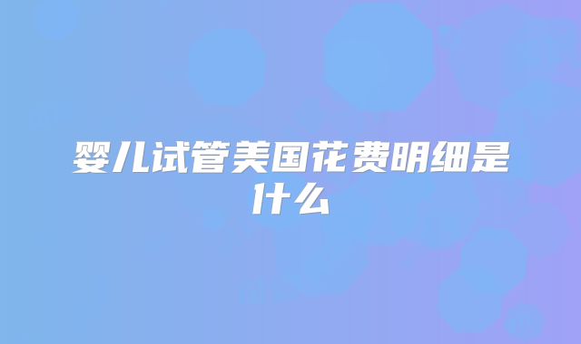 婴儿试管美国花费明细是什么
