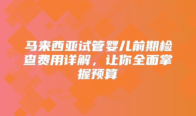 马来西亚试管婴儿前期检查费用详解，让你全面掌握预算