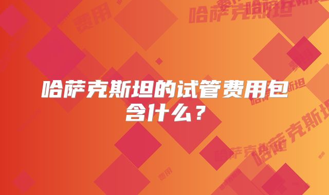 哈萨克斯坦的试管费用包含什么？