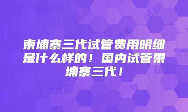 柬埔寨三代试管费用明细是什么样的！国内试管柬埔寨三代！