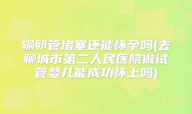 输卵管堵塞还能怀孕吗(去聊城市第二人民医院做试管婴儿能成功怀上吗)