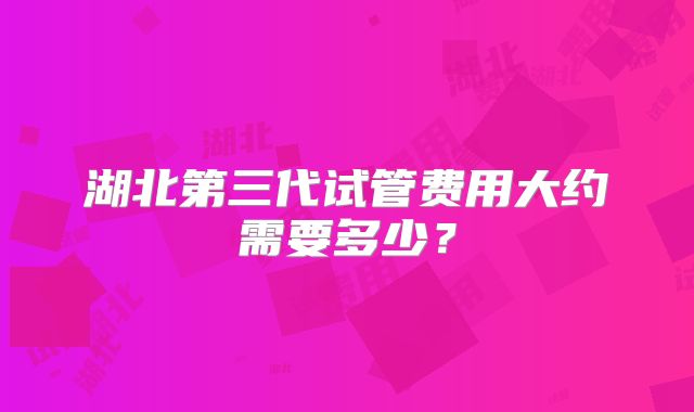 湖北第三代试管费用大约需要多少？