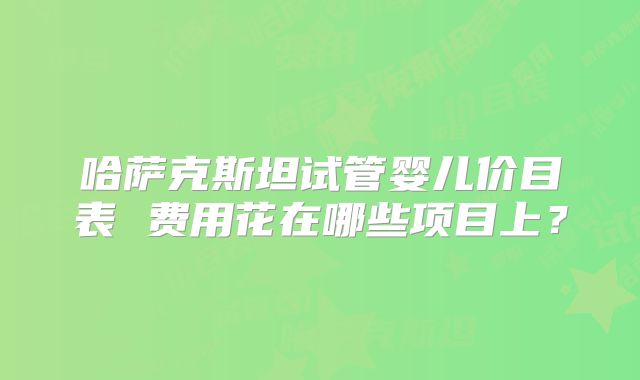 哈萨克斯坦试管婴儿价目表 费用花在哪些项目上？