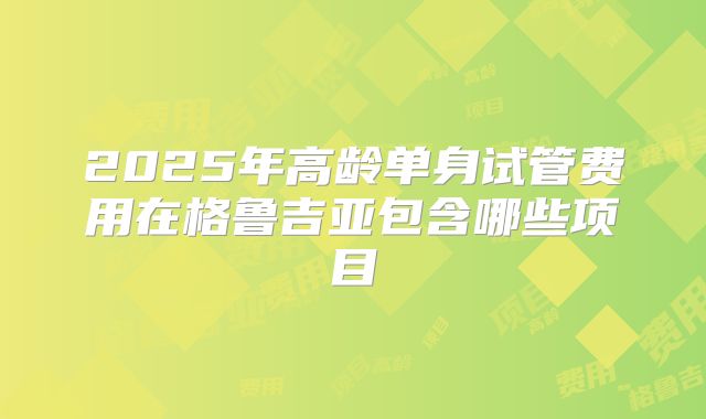 2025年高龄单身试管费用在格鲁吉亚包含哪些项目