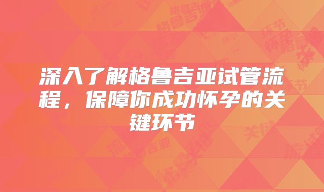 深入了解格鲁吉亚试管流程，保障你成功怀孕的关键环节
