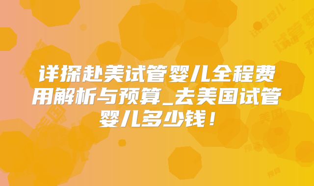 详探赴美试管婴儿全程费用解析与预算_去美国试管婴儿多少钱！