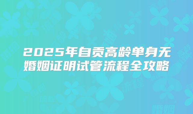 2025年自贡高龄单身无婚姻证明试管流程全攻略