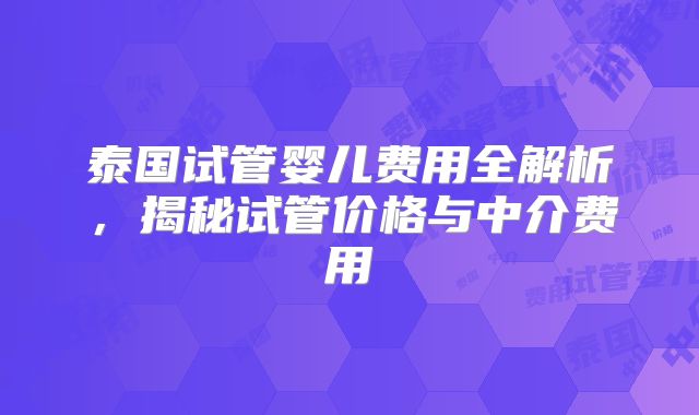 泰国试管婴儿费用全解析，揭秘试管价格与中介费用