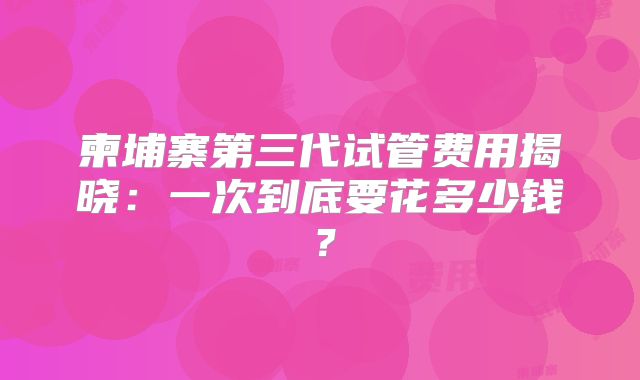 柬埔寨第三代试管费用揭晓:一次到底要花多少钱?