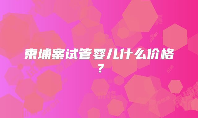 柬埔寨试管婴儿什么价格?