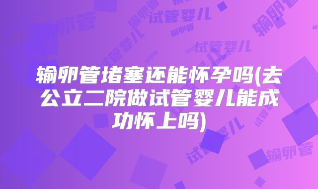 输卵管堵塞还能怀孕吗(去公立二院做试管婴儿能成功怀上吗)