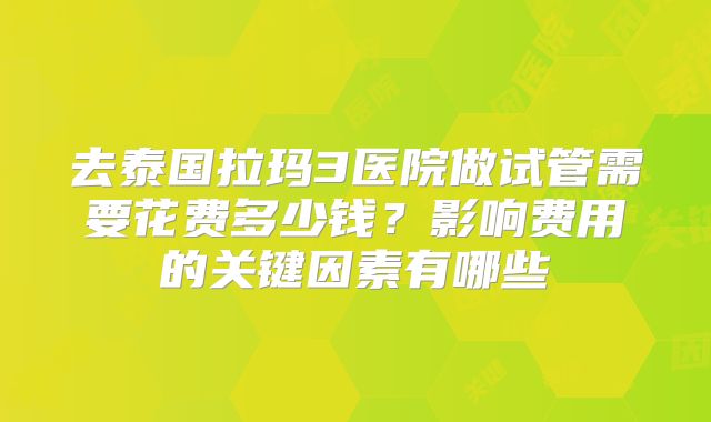 去泰国拉玛3医院做试管需要花费多少钱？影响费用的关键因素有哪些
