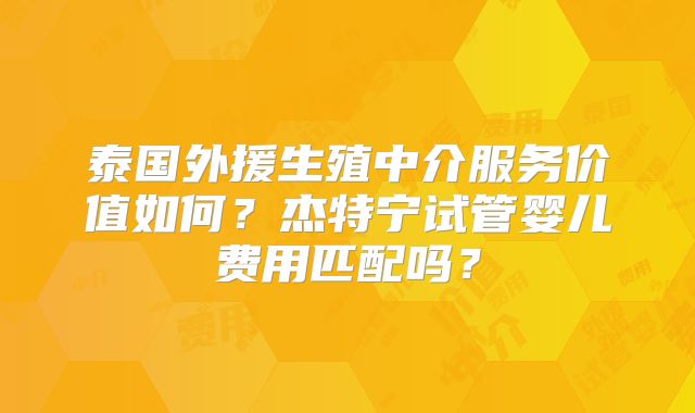 泰国外援生殖中介服务价值如何？杰特宁试管婴儿费用匹配吗？