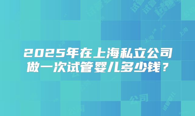 2025年在上海私立公司做一次试管婴儿多少钱？
